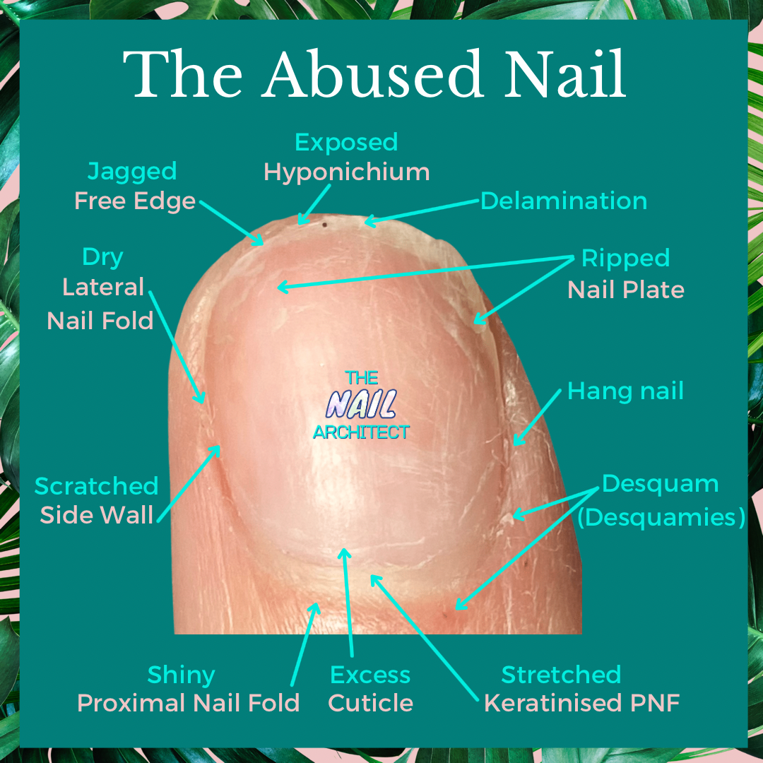 Blog – The Nail Architect